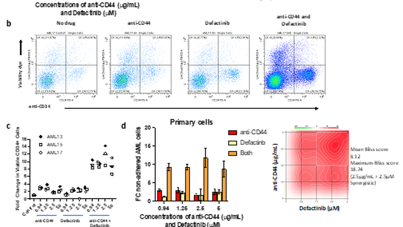 A Novel In Vitro Model of the Bone Marrow Microenvironment in Acute Myeloid Leukemia Identifies CD44 and Focal Adhesion Kinase as Therapeutic Targets to Reverse Cell Adhesion-Mediated Drug Resistance